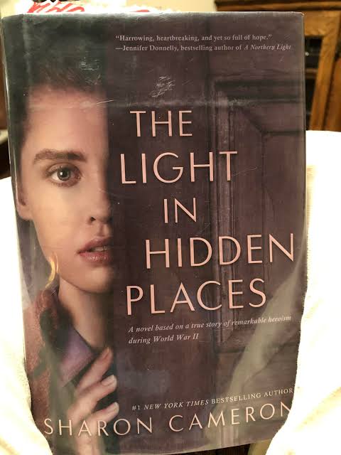 Movie and Book Review of Hidden in Silence and The Light in Hidden Places
