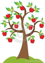 Apfelbaum Stockbild Bild 15010001 Apfelbaum Apfel Baumkunst