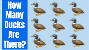 We did not find results for: Hen Eggs And Bananas Puzzle Only For Genius Youtube