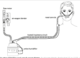 High flow rates that can reach, and sometimes exceed, 60 liters per minute (lpm) are able to induce a washout of the nasopharyngeal dead space and allow for enhanced conduction of alveolar gases. Pdf High Flow Nasal Cannula Oxygen Therapy In Adults Semantic Scholar