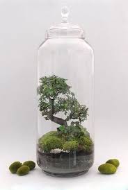 20 Amazing Mini Garden Design And Ideas In A Jar 20 Amazing Mini Garden Design And Ideas In A Jar In 2020 Beautiful Terrariums Terrarium Containers Mini Terrarium