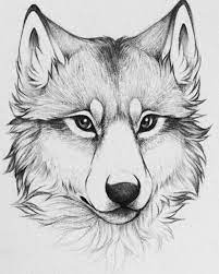 See more ideas about black paper drawing, drawings, black paper. 1001 Ideas And Inspiration On How To Draw Animals
