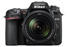 Best Dslrs Of 2019 Cameras For Beginner Intermediate