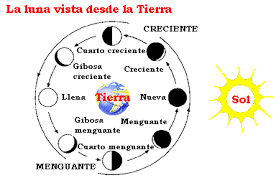 Pero como la luna demora aproximadamente 28 días en repetir sus fases, ella pasa no sólo por las cuatro antes mencionadas, sino que por infinitas fases intermedias a las cuales la tradición no les ha puesto nombre. Cuales Son Las Fases De La Luna