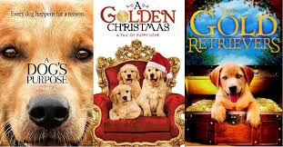 15 Movies About Golden Retrievers Dogs Addict