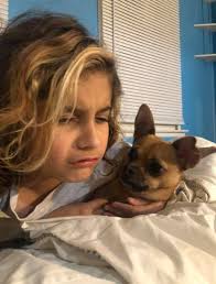 Chubbs still missing, please help us bring him home... It has been over 3  months, I'm convinced someone has him, he is only 7 pounds and probably  couldn't survive the cold and