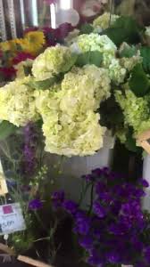 Florist in menomonee falls, wisconsin. 0v 2im0kfh0fjm