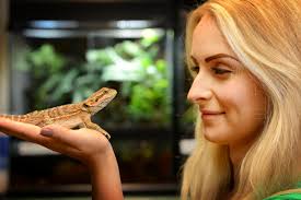 Animal lovers invited to bearded dragon weekend