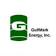 GulfMark Energy, Inc. logo