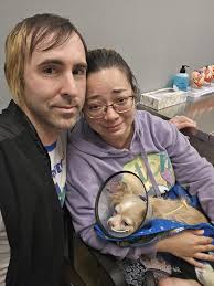 Fundraiser for Dog's Pyometra Surgery at Five Mile Animal Hospital in  Redford