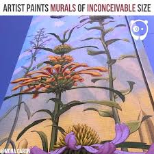 Tucson Backyard Gardening