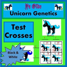 A commonly discussed punnett square is the dihybrid cross. Pin On High School Science Resources