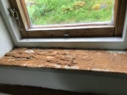 Image result for site:byggahus.se insektsangrepp