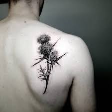 One temporary tattoo of a purple thistle plant! Top 65 Best Thistle Tattoo Ideas 2021 Inspiration Guide