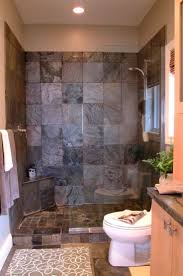 Bathroom Ideas Of Doorless Walk In Shower For Small Space Bathroom Example Of Door L Master Bathroom Makeover Small Master Bathroom Bathroom Remodel Master