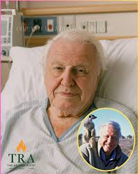 I'm Afraid I'll Become Helpless and Gaga”: Sir David Attenborough's  Heartbreaking Confession at 99 Leaves Million In Tears. In the hush of a  nation that grew up with his whisper, Sir David