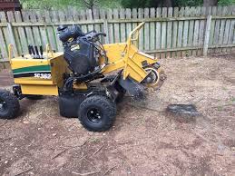 How to remove a tree stump. Keener Stump Removal Home Facebook