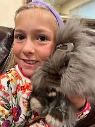 Hi All! My husband and I are looking for a friend for our rabbit, Pipper.  He was previously bonded but unfortunately his buddy passed away back in  August. We are hoping to