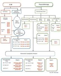 Evaluation And Management In Cpt Coding