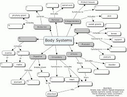 There are numerous online coloring pages that you may have a blast. Human Body Systems Coloring Pages Coloring Home