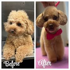 🎇 Happy 4th of July! 🎇 We're taking a little break for the holiday, and  the salon will be closed through the weekend. We'll be back in action