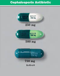 Image result for Cephalexin
