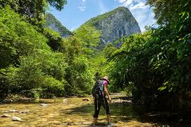 The modern world is slowly encroaching there, however, with some trails now cut off by logging roads. The Ultimate Backpacking Guide To Borneo