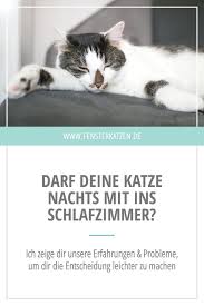 Mein erstes mal war dann bei ihm zuhause im bett und ich wollte mich auf ihn setzen, was alles andere als toll war. Die Nacht Mit Katzen Verbringen Das Erste Mal Katzen Katzen Bett Katzen Infos
