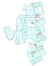 Case Study Case Study Frank Gehry Study