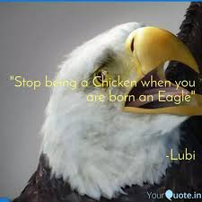 Stop Being A Chicken Whe Quotes Writings By Onalaja Olubi Christopher Yourquote