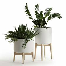 Pot Et Plante Avec Support Plante Jardinage N Vertnature Arbre Fleur Poterie Plant Decor White Flower Pot Cache Pot
