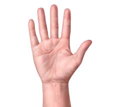 Facts On Hand About Dupuytren S Contracture