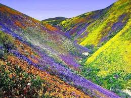 Colourful Mountains Ireland Valley Of Flowers Beautiful Landscapes Beautiful Places