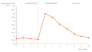 Https Lehrerfortbildung Bw De U Matnatech Bio Gym Bp2016 Fb8 6 Immun 1 Ueberblick 5 Mat10 615 Infektionskrankheiten Material 10 Pdf