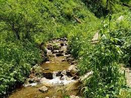 Maybe you would like to learn more about one of these? Ò›yz Zhibek Zhyry Qojalar Kz