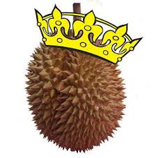 Perfume template label design : 17 Cool Durian Designs Ideas Durian Jackfruit Vs Durian Tropical Illustration