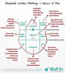 Pin On Nurse Practitioner