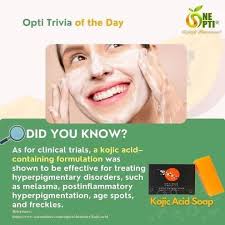 One OPTI Business alhassa Alhofuf KSA