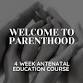 Welcome to Parenthood - 4 Week Course event image