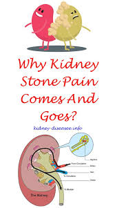 Causes Of Kidney Failure In Humans Kidney Disease Awareness Polycystic Kidney Disease Kidney Disease Recipes