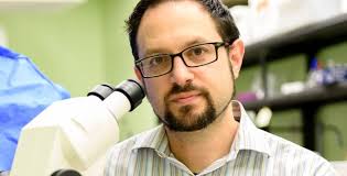 SBU team explores division vs. invasion in fish, worm and cancer