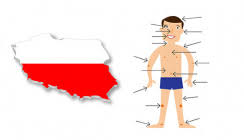 We are familiar with the exterior body parts like ear, eye, nose, hands, and legs but we might not be knowing about all the internal human organs. Polish Vocabulary Parts Of The Body
