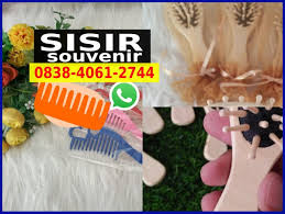 Jual Sisir Kutu Di Medan 0838 406i 2744 Whatsapp Sisir Tempat Sisir Rambut Lurus