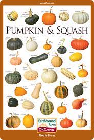 Butternut squash, or winter squash, preserves well and it may help prevent high blood pressure and asthma, lower cancer risk, and manage diabetes. Pin On Food