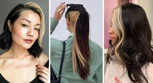 Je vois la vie…en violet ! Skunk Hair La Tendance Cheveux Bicolore Pour L Automne 2020