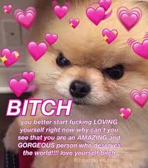 Pin By Nat On Memez Cute Love Memes Love You Meme Wholesome Memes