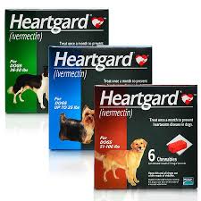 For example, in dogs, ivermectin may be used in the treatment of mites (demodectic mange, scabies, and ear mites), intestinal parasites (hookworms, roundworms), and capillaria. Purchase Heartworm Medication Without Ivermectin Up To 65 Off