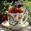 17 betty boop good morning images. 3