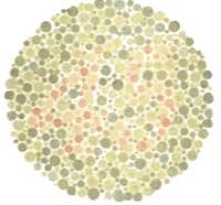 The test consists of 38 colored plates, each of which contains a circle of. Latihan Buta Warna Ujian Kpp