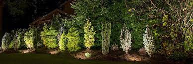 They are designed to illuminate the outdoors especially during the night for an impressive look. Led Landscape Lights Why Are They Ideal For Outdoor Lighting Garden Light Led